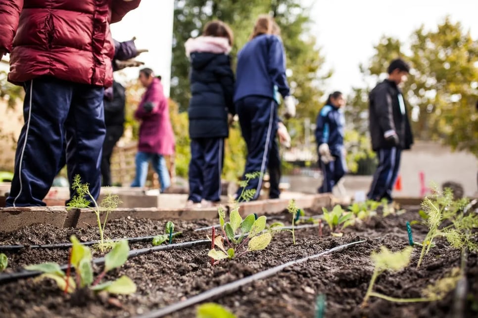 outdoor learning