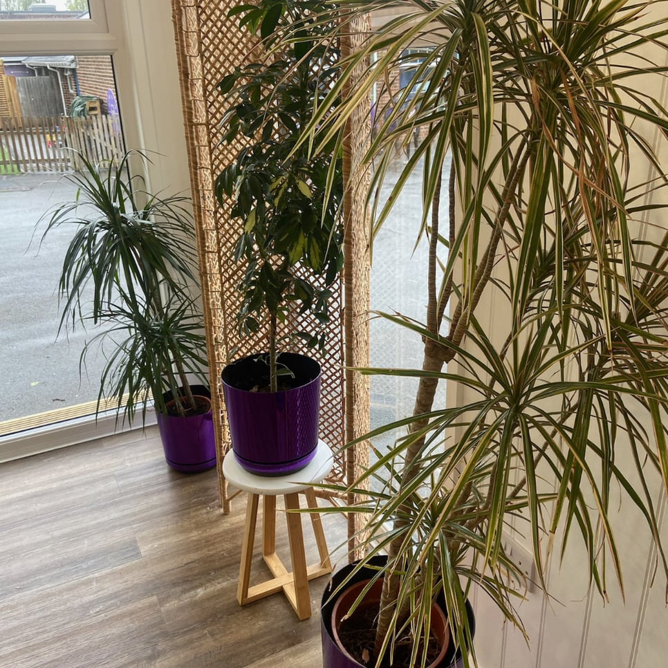 billesley primary school's biophilic outdoor classroom