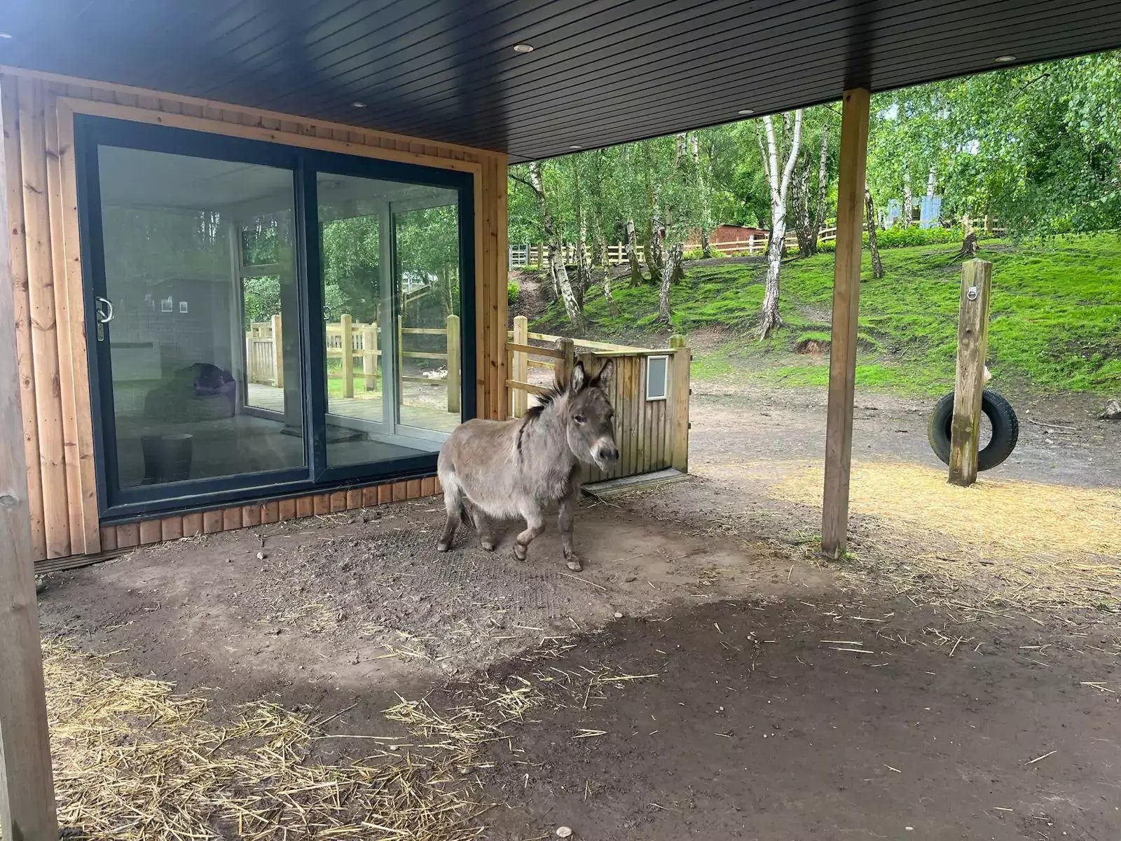 animal therapy at portland college 