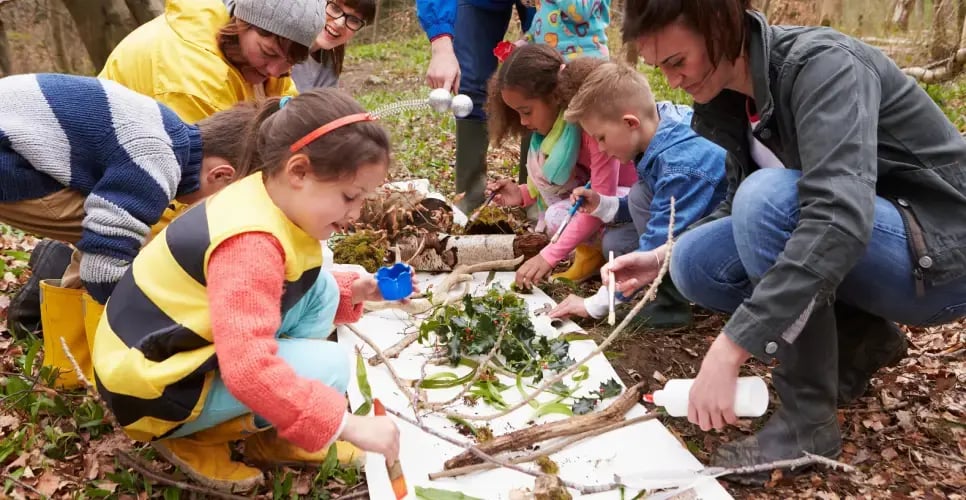learning-plants-log-cabin