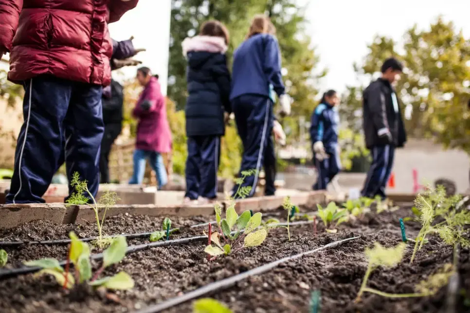 School children enjoying outdoor forest school activities at an allotment 